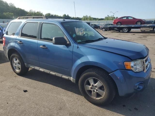 2009 Ford Escape XLT