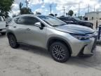 2024 Lexus NX 350H Base