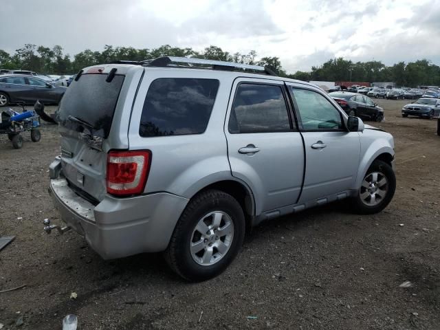 2011 Ford Escape Limited