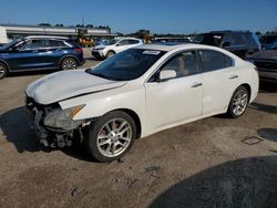 Nissan Vehiculos salvage en venta: 2011 Nissan Maxima S