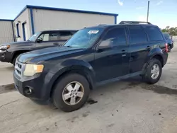 Salvage cars for sale at Orlando, FL auction: 2010 Ford Escape XLT