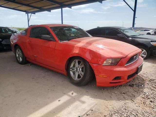 2014 Ford Mustang