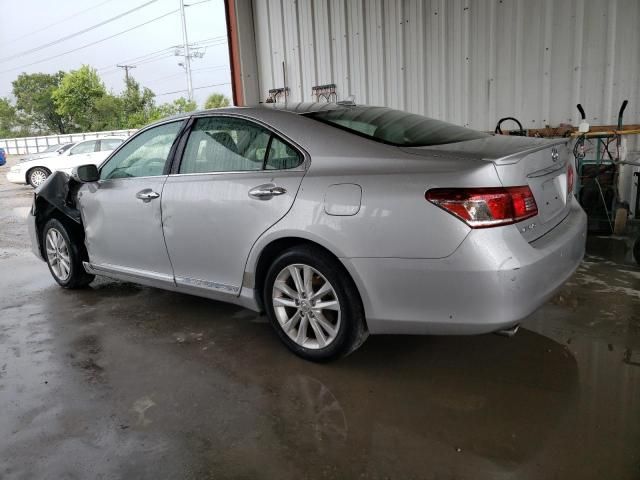 2010 Lexus ES 350