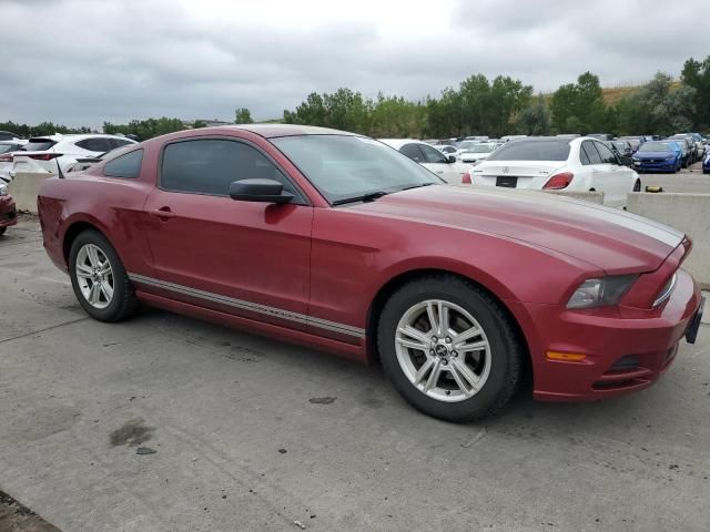 2014 Ford Mustang