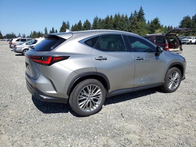 2024 Lexus NX 350 Luxury