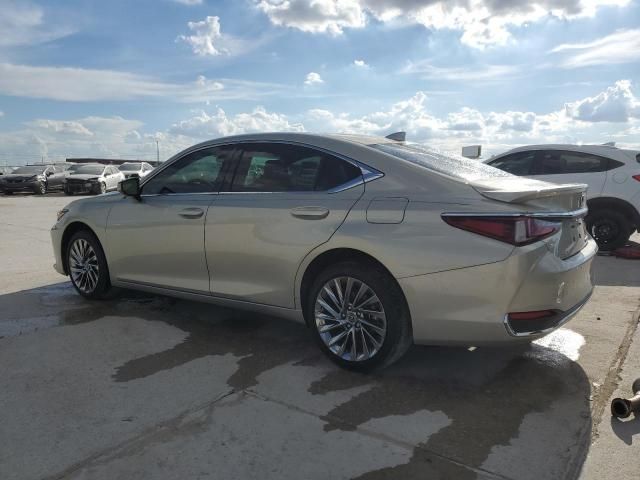 2024 Lexus ES 300H Base