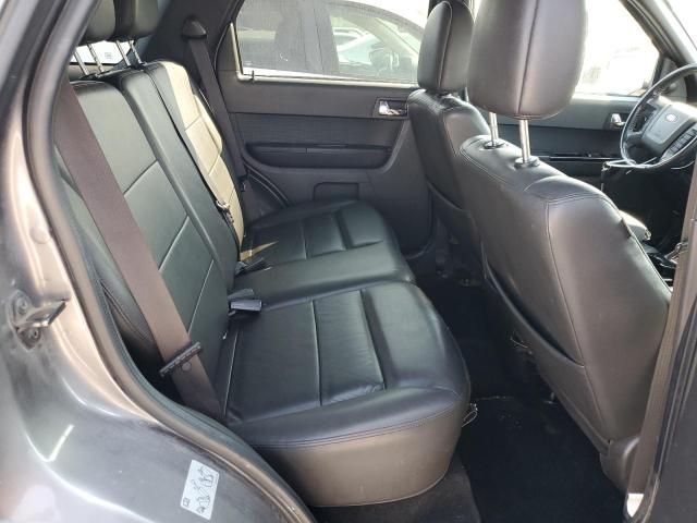 2010 Ford Escape Limited