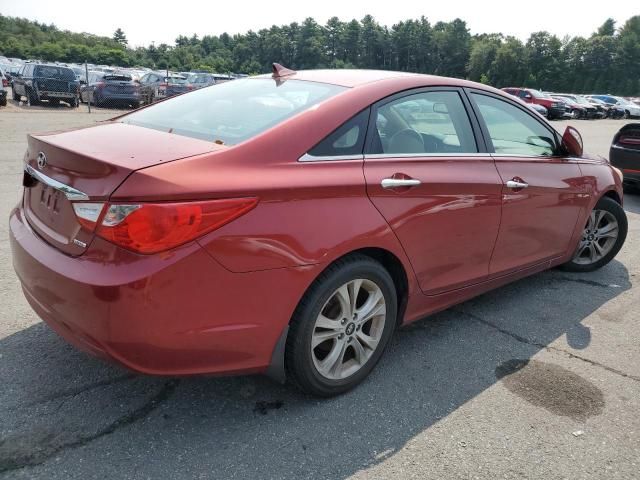 2011 Hyundai Sonata SE