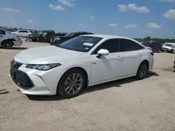 Salvage cars for sale at Houston, TX auction: 2020 Toyota Avalon XLE