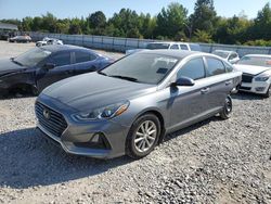 Salvage cars for sale at Memphis, TN auction: 2019 Hyundai Sonata SE