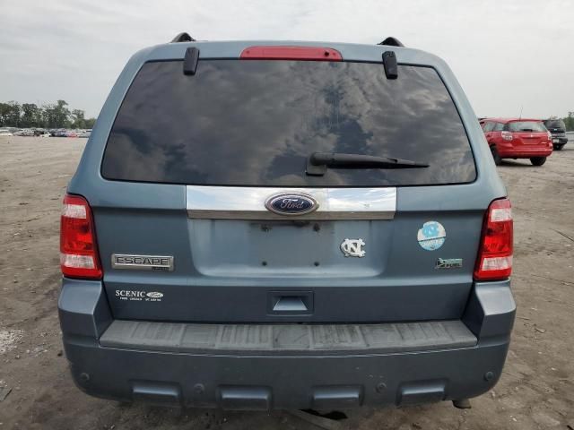 2010 Ford Escape Limited