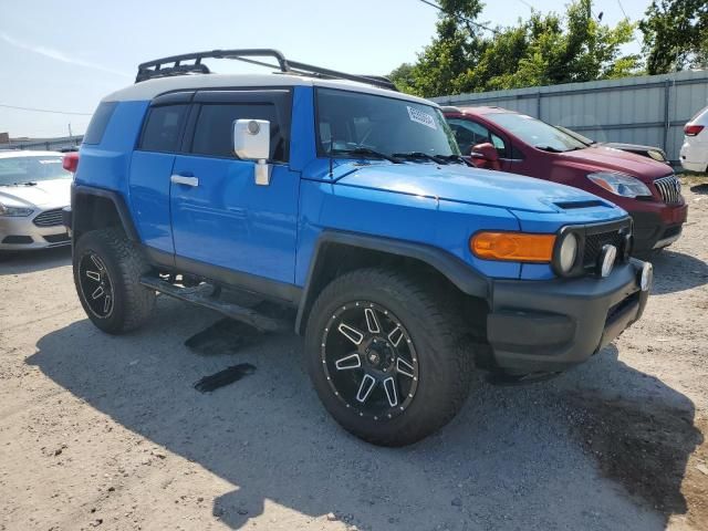 2007 Toyota FJ Cruiser