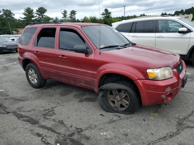 2006 Ford Escape Limited