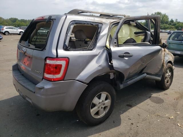 2008 Ford Escape XLT