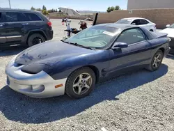 Salvage cars for sale at Mentone, CA auction: 2000 Pontiac Firebird