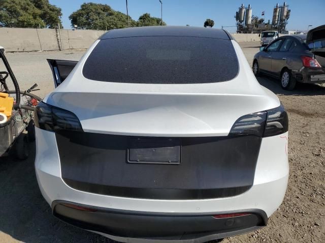 2020 Tesla Model Y