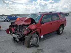 Toyota salvage cars for sale: 2019 Toyota 4runner SR5