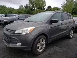 Ford salvage cars for sale: 2015 Ford Escape SE