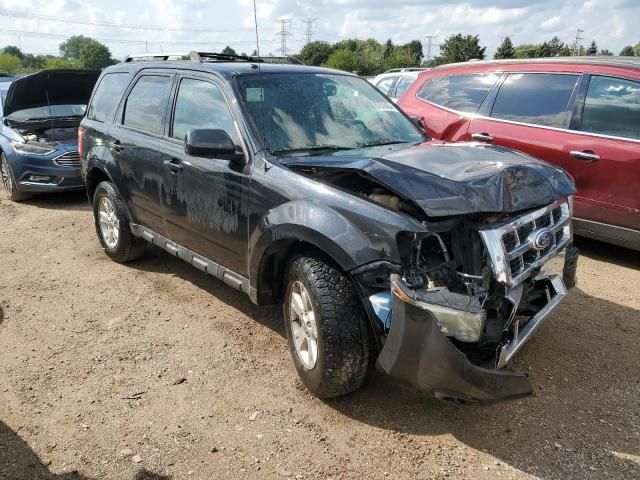 2011 Ford Escape Limited