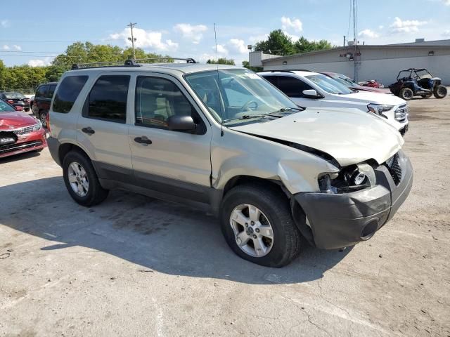 2005 Ford Escape XLT