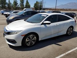 Salvage cars for sale at Rancho Cucamonga, CA auction: 2016 Honda Civic EXL