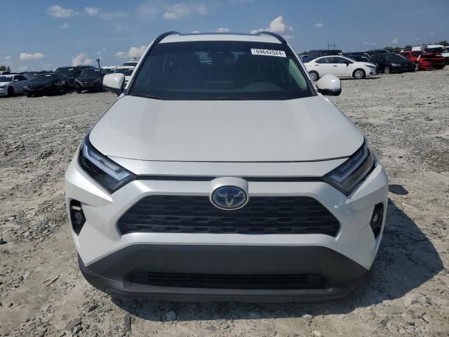 2023 Toyota Rav4 XLE Premium