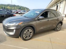 Salvage cars for sale at Louisville, KY auction: 2020 Ford Escape SEL