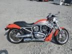 2006 Harley-Davidson Vrscr