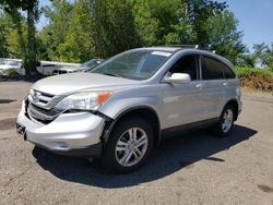 Salvage cars for sale at Portland, OR auction: 2010 Honda CR-V EXL