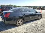 2005 Nissan Maxima SE