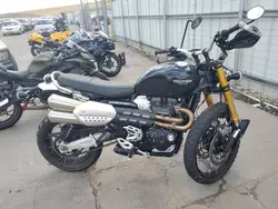 Salvage motorcycles for sale at Littleton, CO auction: 2023 Triumph Scrambler 1200 XE