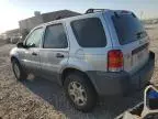 2007 Ford Escape XLT