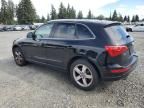 2012 Audi Q5 Premium Plus