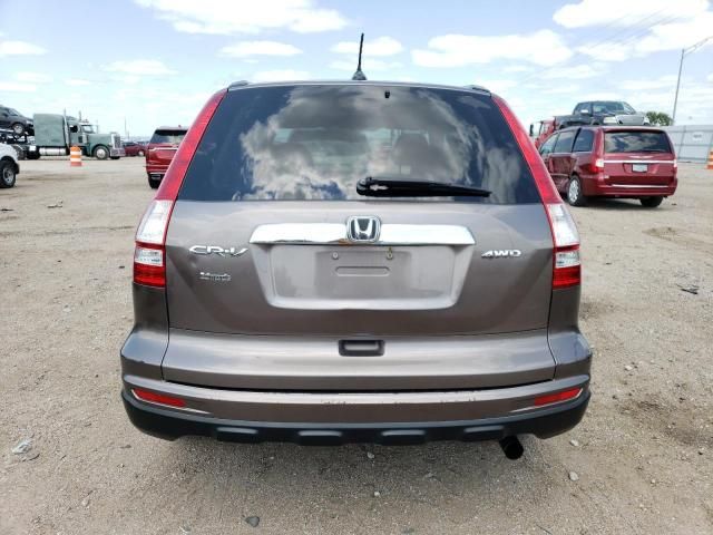 2010 Honda CR-V EXL