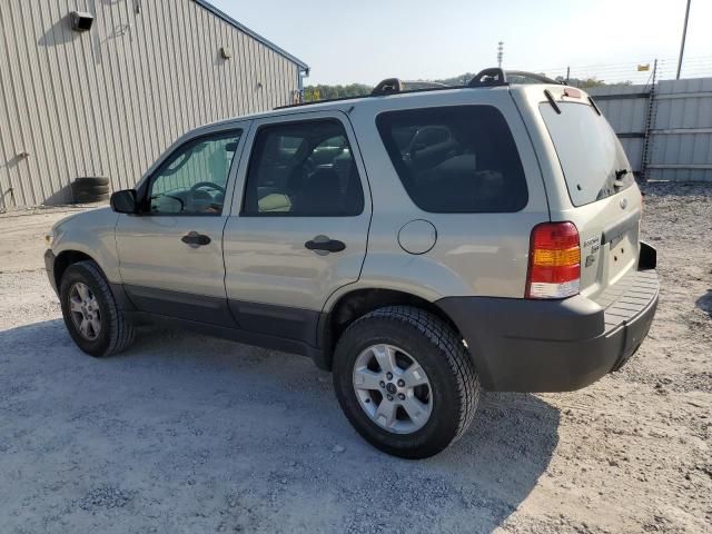 2005 Ford Escape XLT