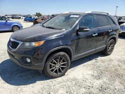 Salvage cars for sale at Antelope, CA auction: 2011 KIA Sorento Base