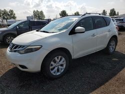 Nissan Vehiculos salvage en venta: 2011 Nissan Murano S