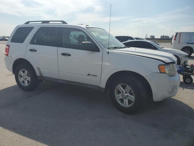 2009 Ford Escape Hybrid