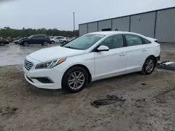 Salvage cars for sale at Tifton, GA auction: 2017 Hyundai Sonata SE