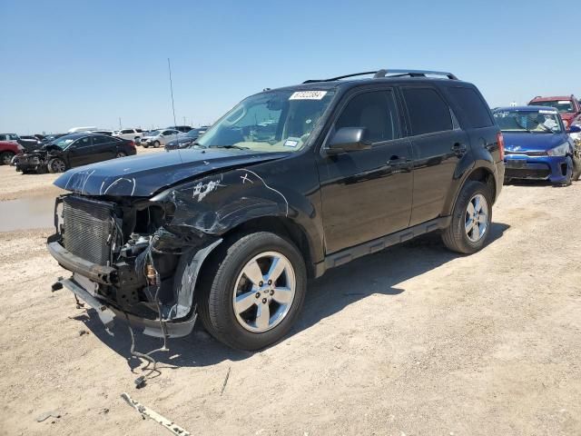 2010 Ford Escape Limited