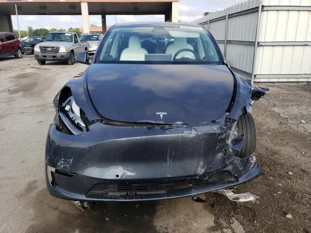 2020 Tesla Model Y