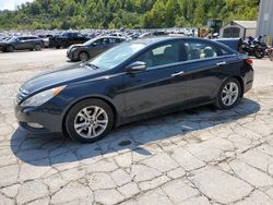 Hyundai Sonata salvage cars for sale: 2013 Hyundai Sonata SE