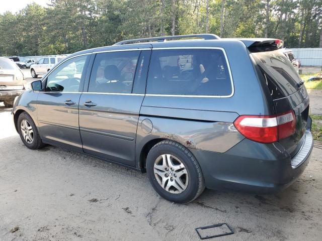 2005 Honda Odyssey EXL