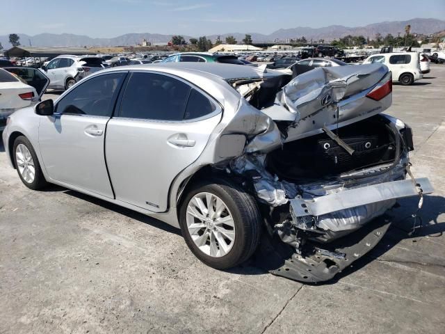 2014 Lexus ES 300H