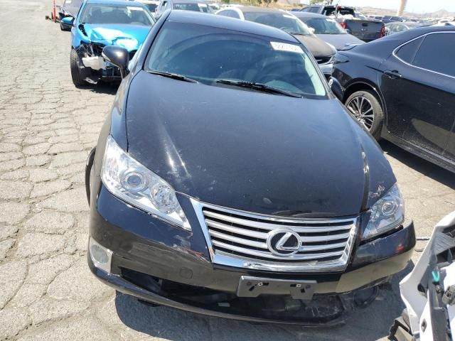 2010 Lexus ES 350