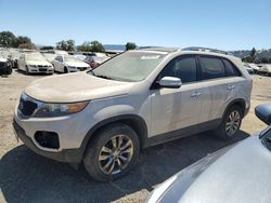 2011 KIA Sorento EX en venta en San Martin, CA