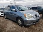 2008 Honda Odyssey EXL