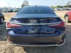 2023 Lexus ES 300H Base