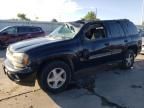 2002 Chevrolet Trailblazer