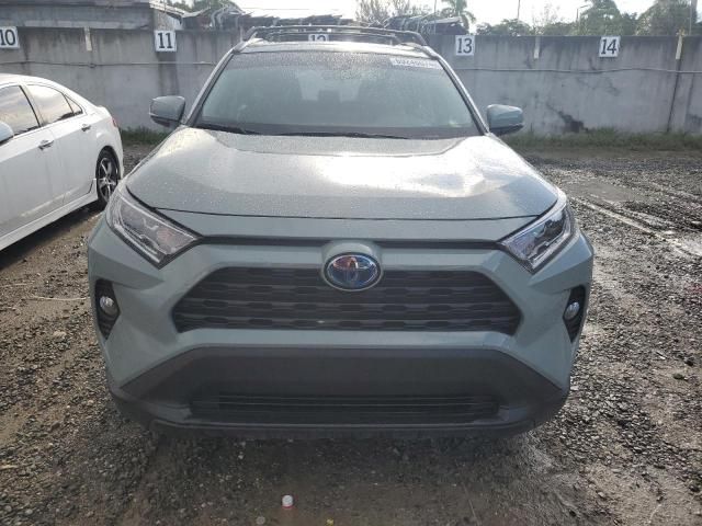 2020 Toyota Rav4 XLE